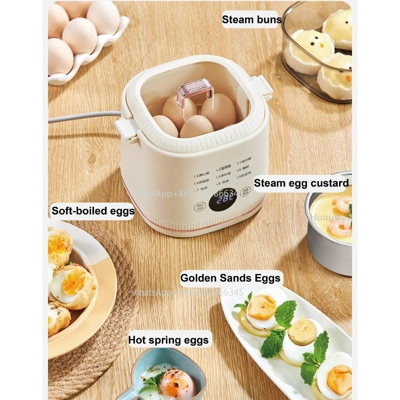 300W Egg Cooker Low Power Dorm - مراجعة Power Xt Tools وسعره